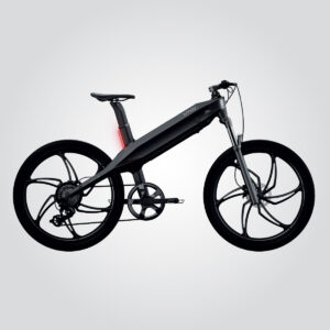 Ebike Brina2 C350