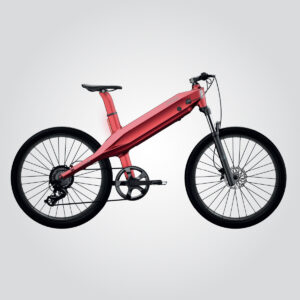 Ebike Brina2 x1000